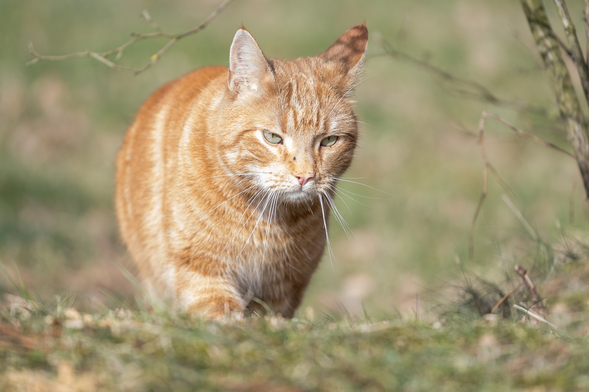 [No title]