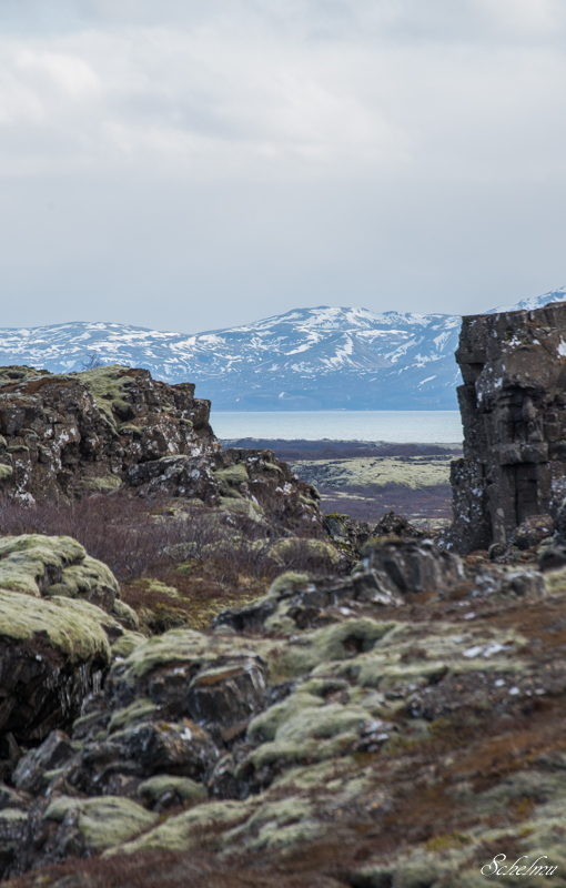 [No title]