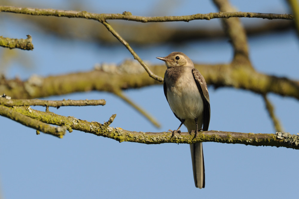 [No title]