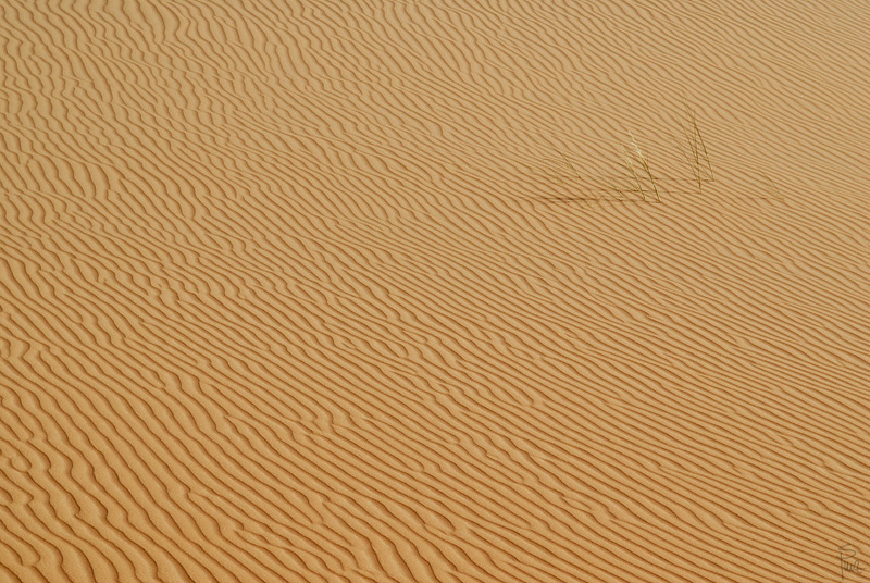 [No title]