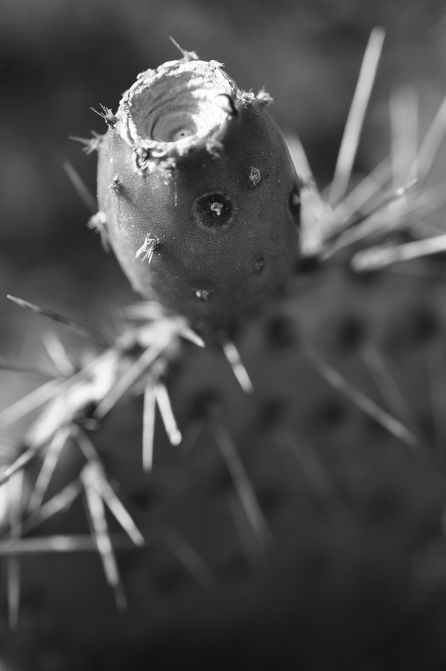 [No title]