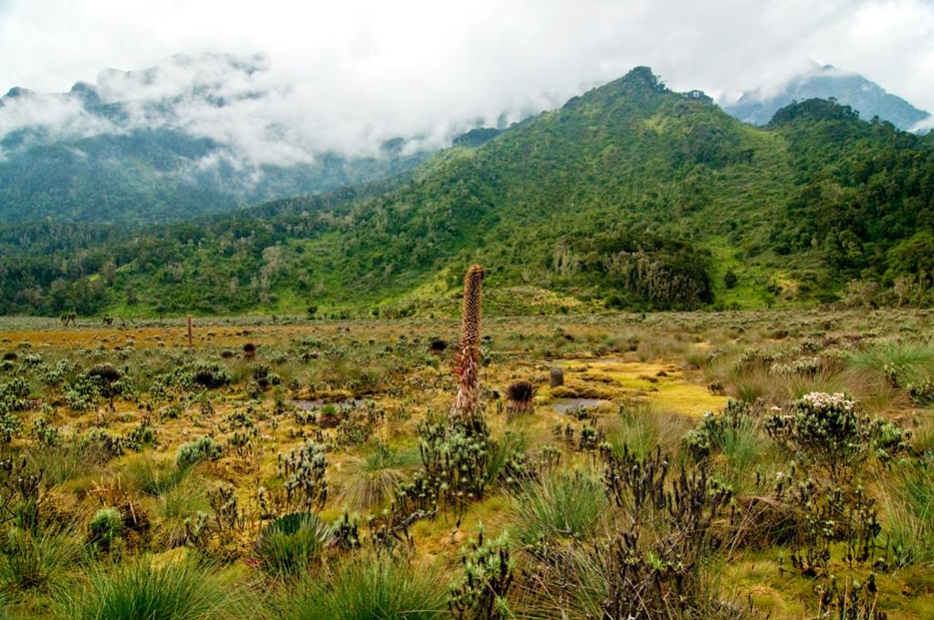 [No title]