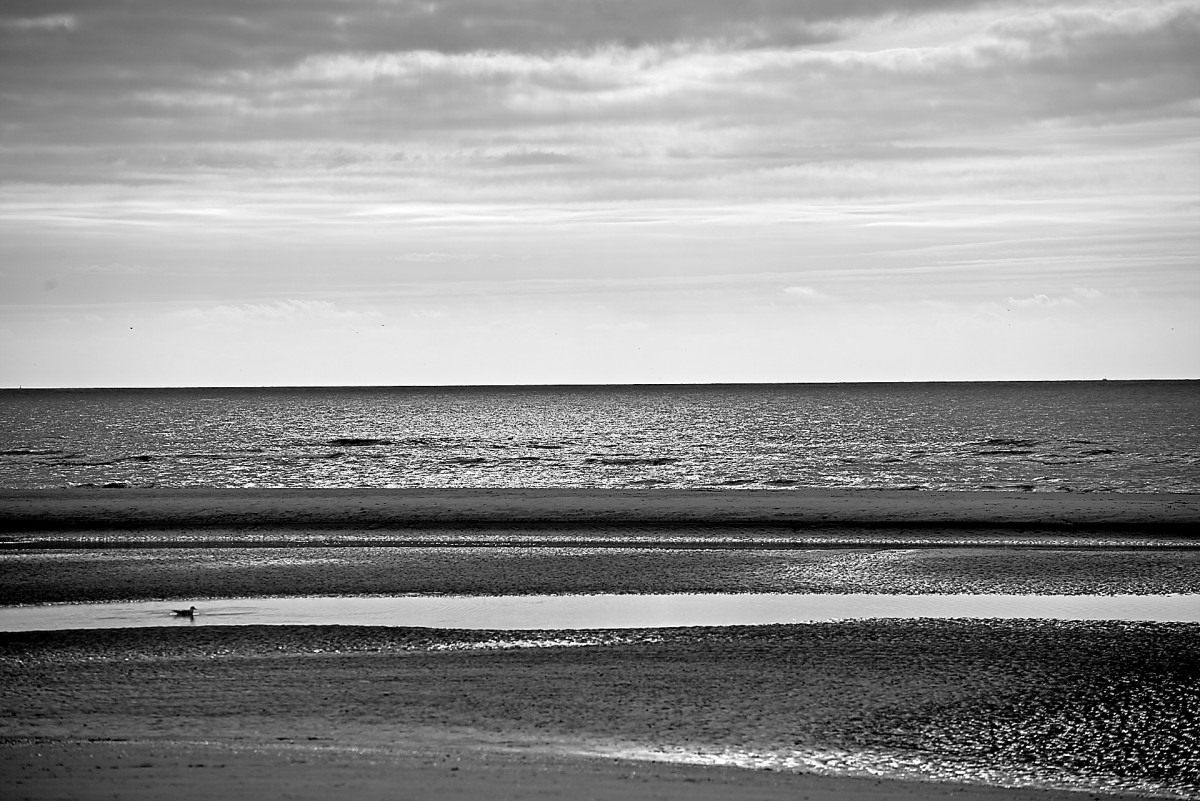 Nordsee 03.jpg