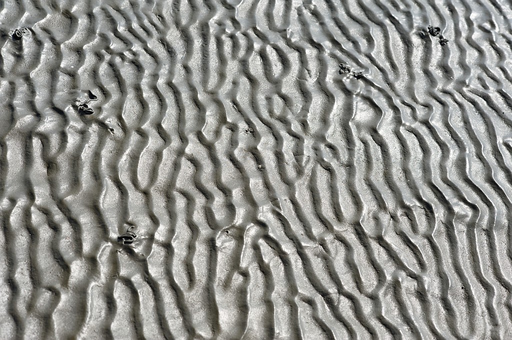 Nordsee Sept. 2012 058