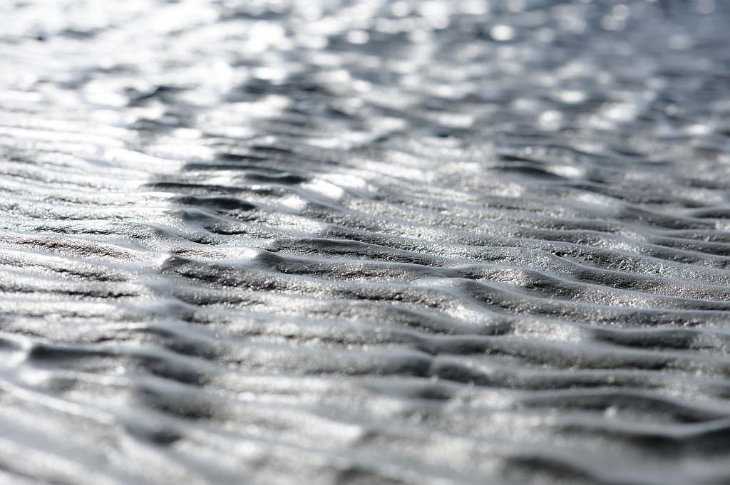 Nordsee Sept. 2012 061