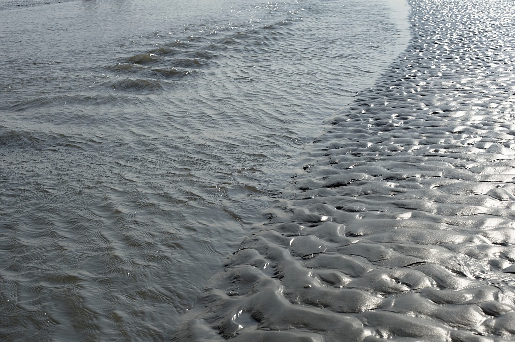 Nordsee Sept. 2012 110