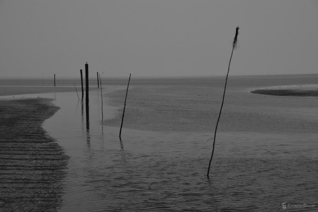 Nordsee2