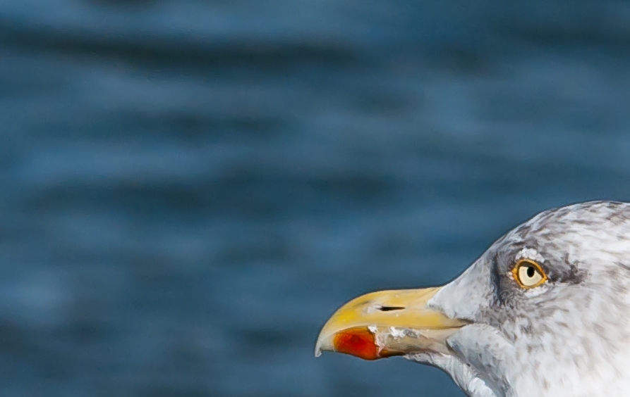 Nordsee297