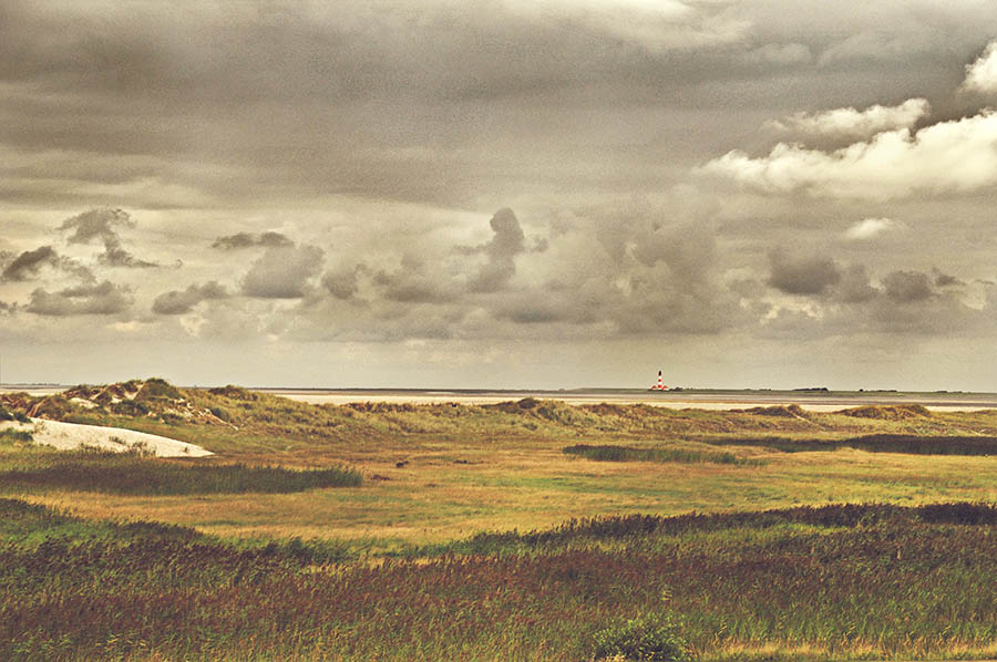 Nordseekueste