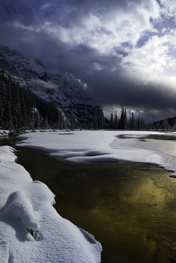 North Saskatchewan River, Graveyard Flats, Banff NP