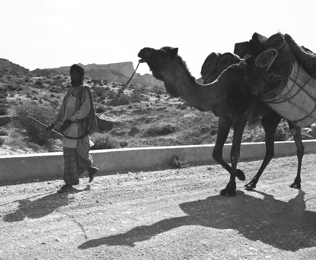 Nouruz75-18.jpg