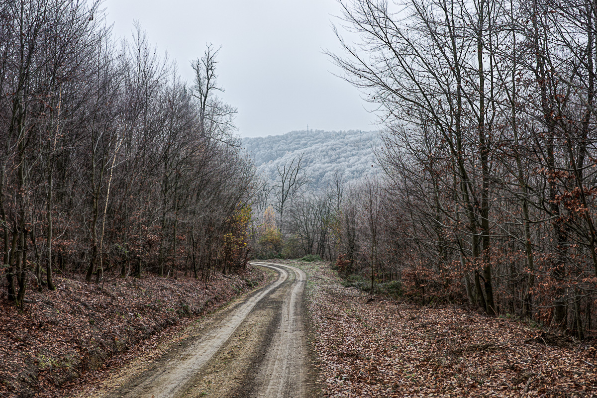 November im Untertaunus