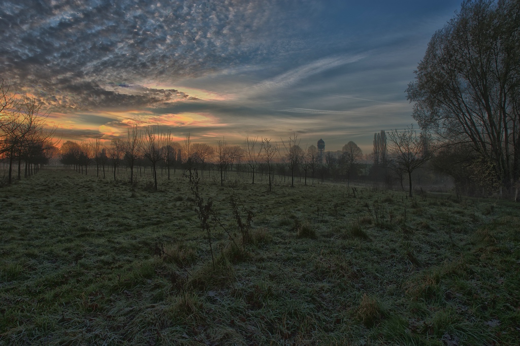 November Morgen