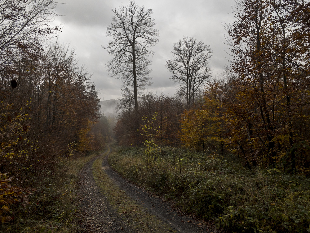 November