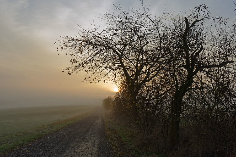 Novembermorgen