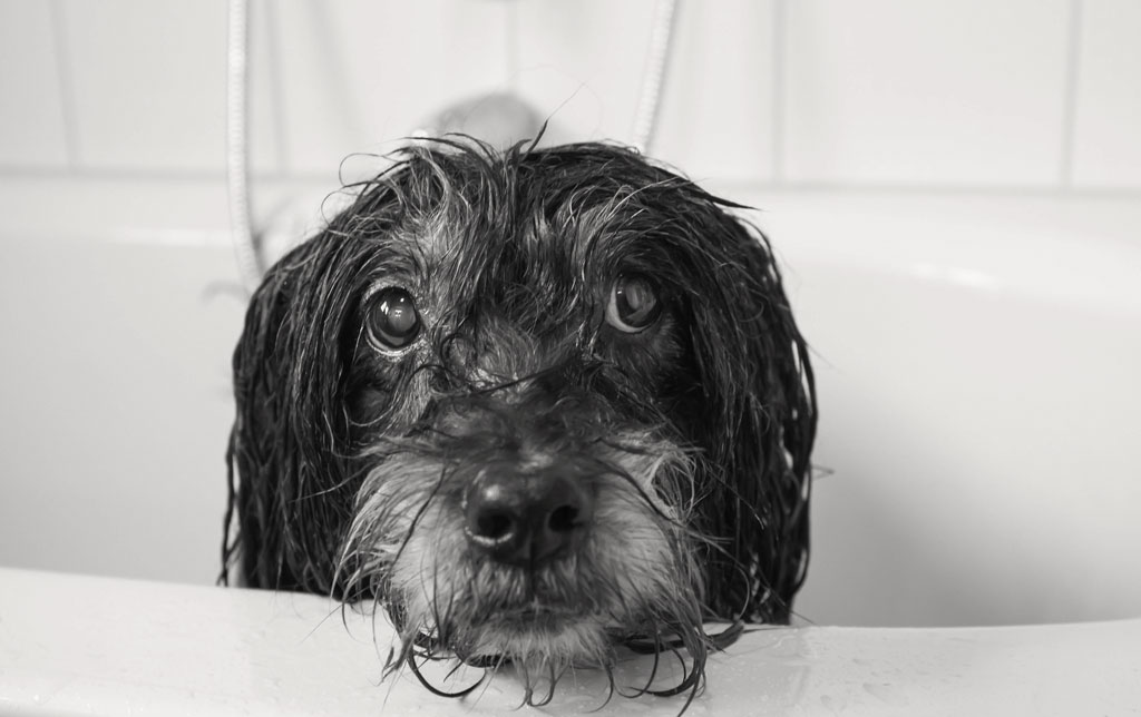 nubo badewanne klein