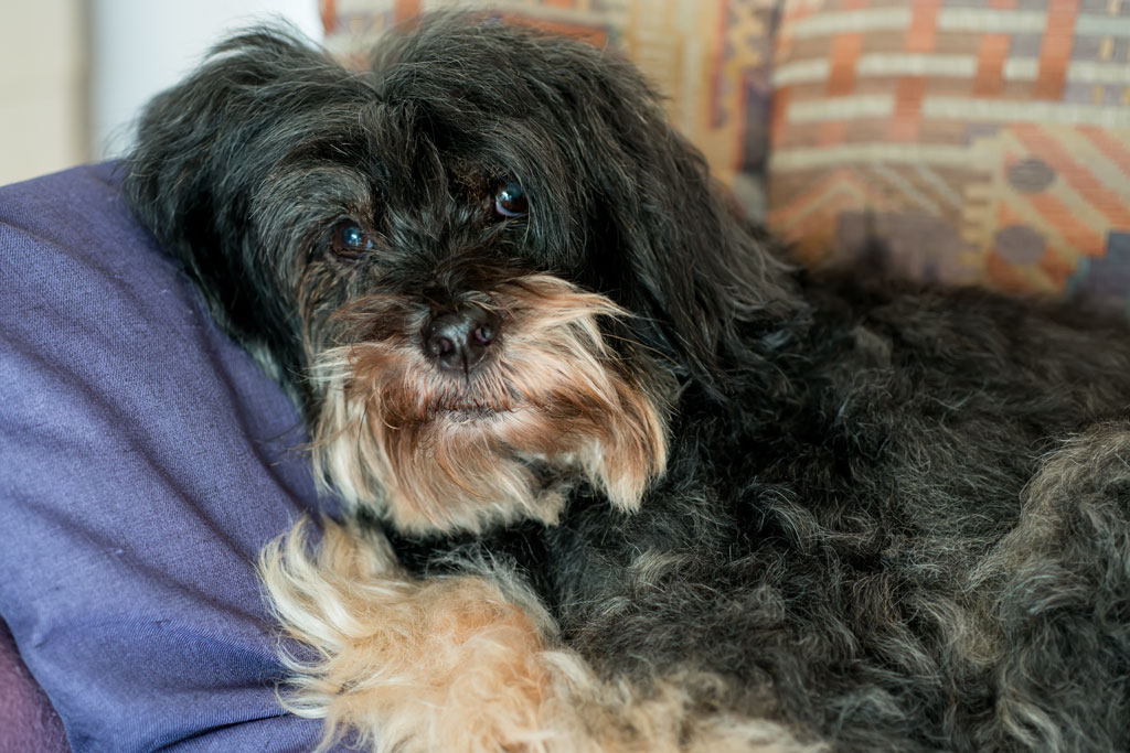 nubo gebadet