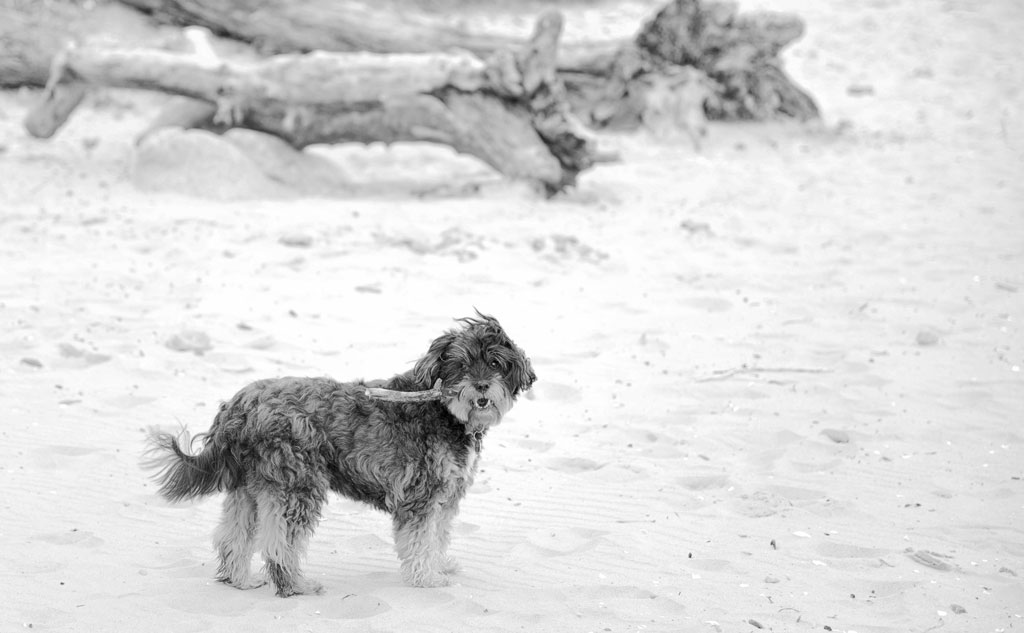Nubo Ostsee