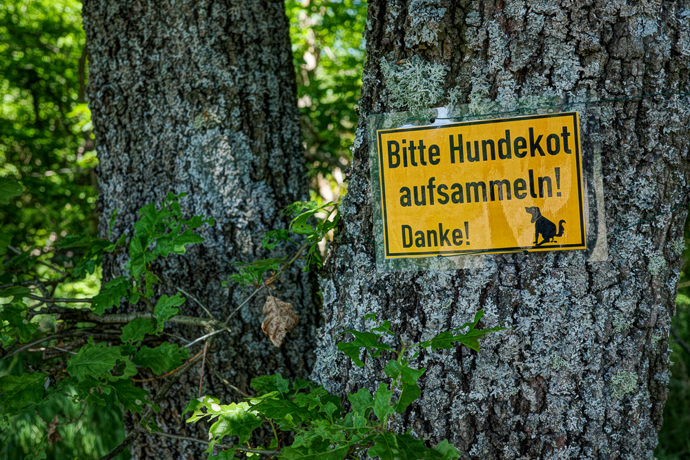 Nur den der eigenen?