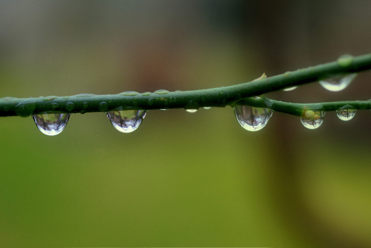 nur regen 1200