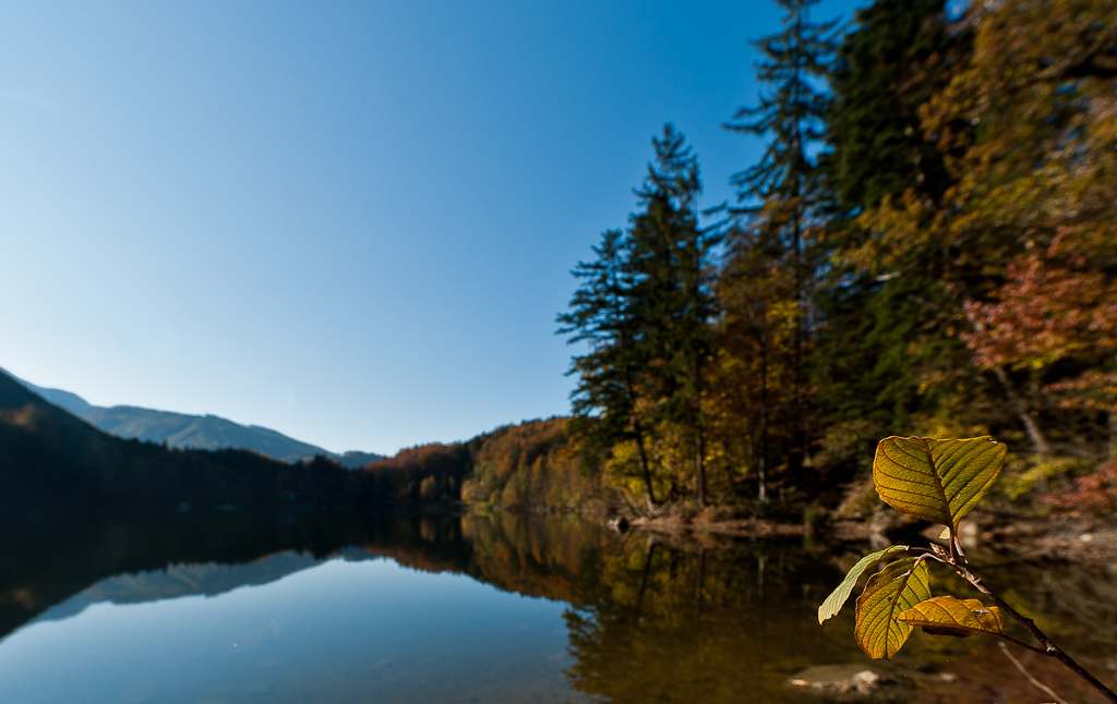Nussensee 2