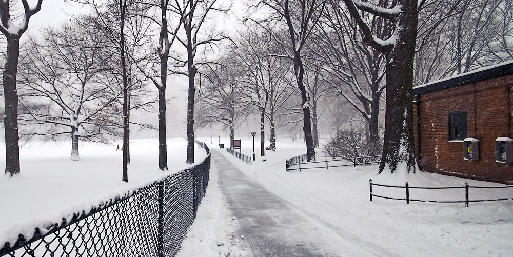NYC CentralPark Winter
