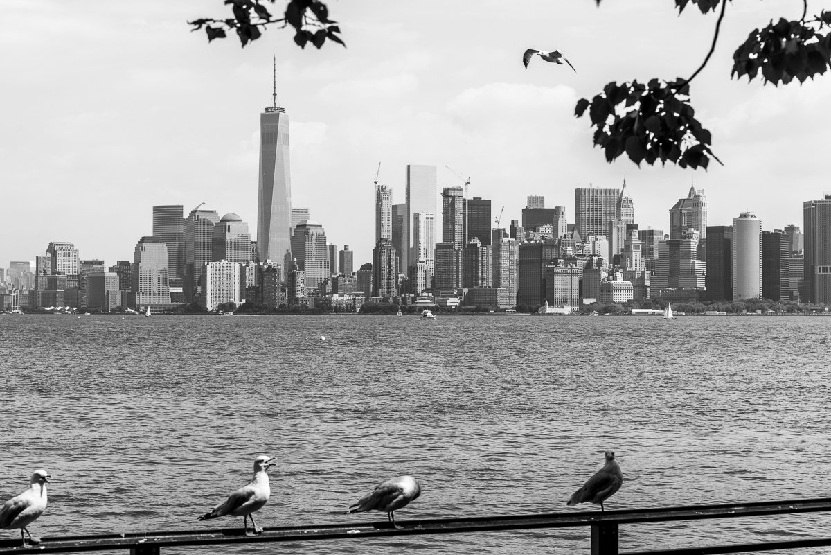 NYC Skyline.jpg