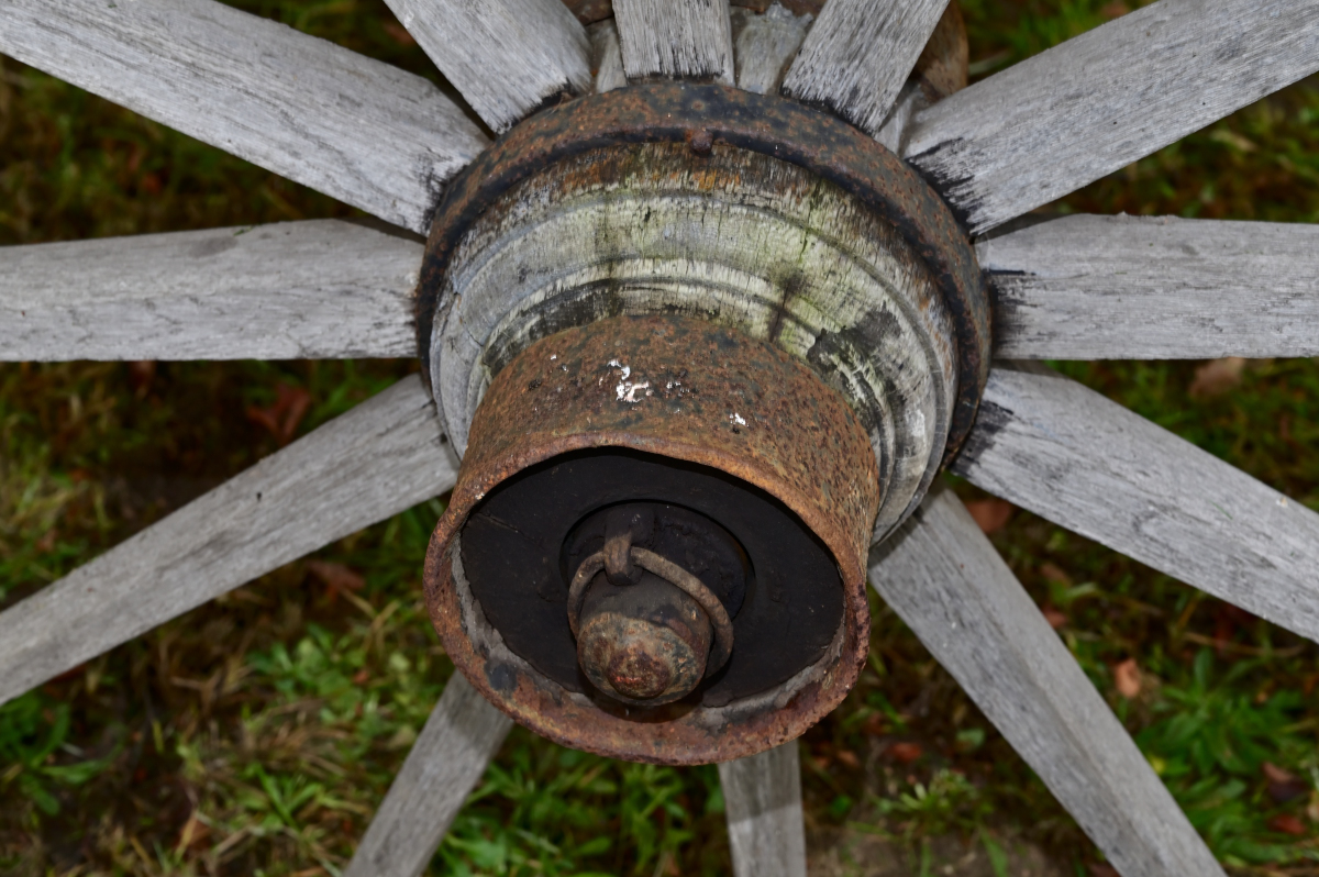NZ6_3870.jpg