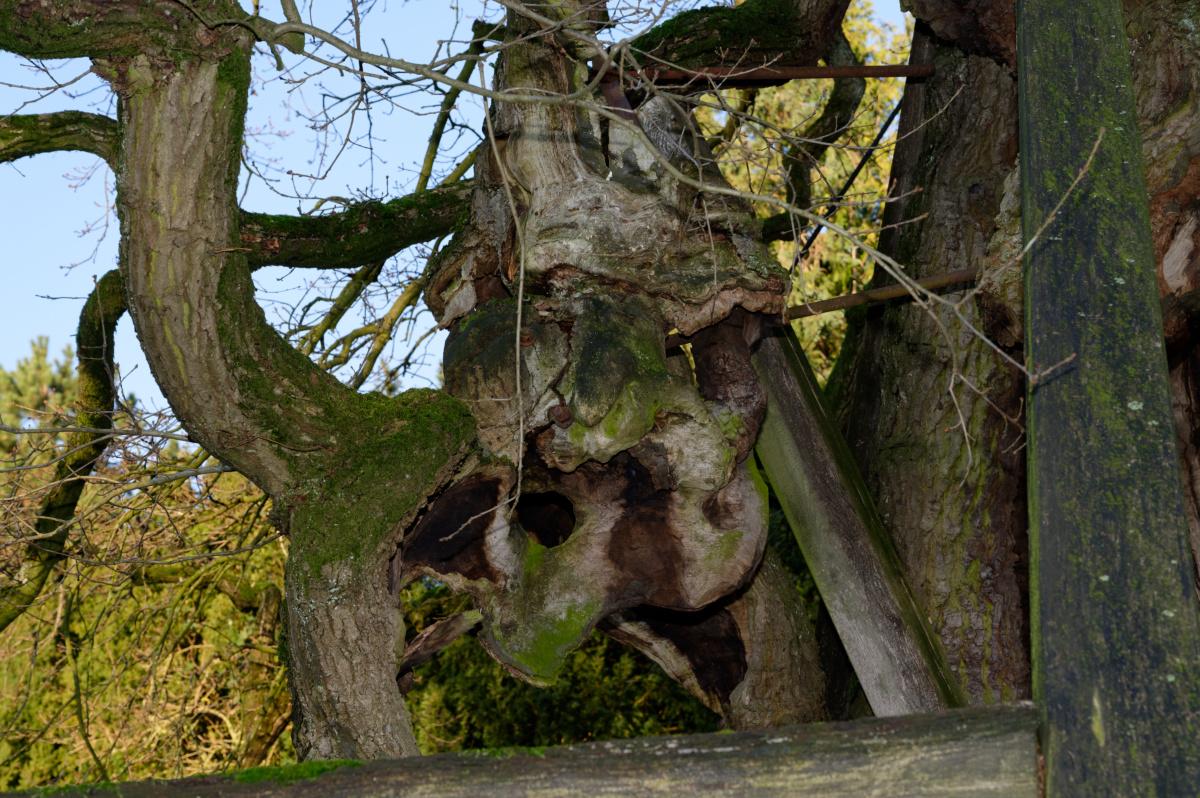 NZ6_4736_DxO.jpg