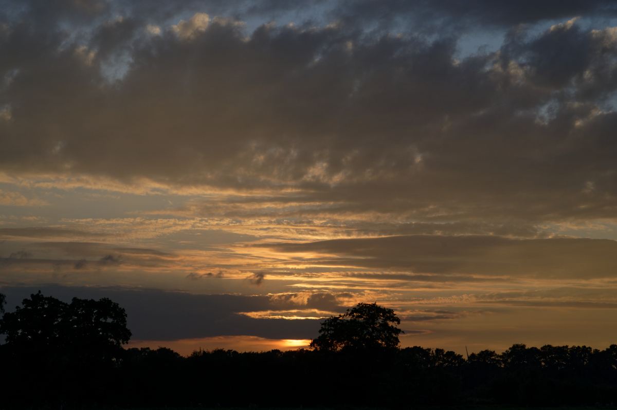 NZ6_5645_DxO.jpg