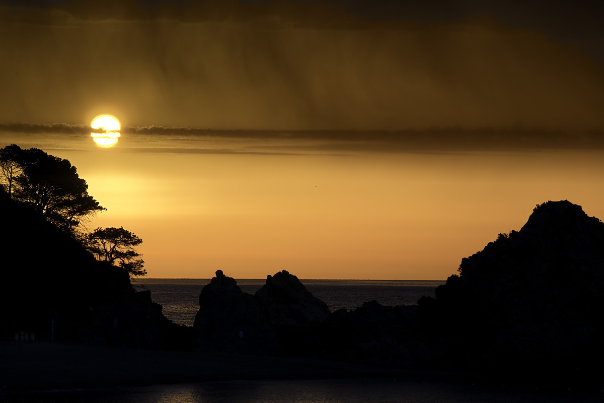 NZ7_5643_edited.jpg