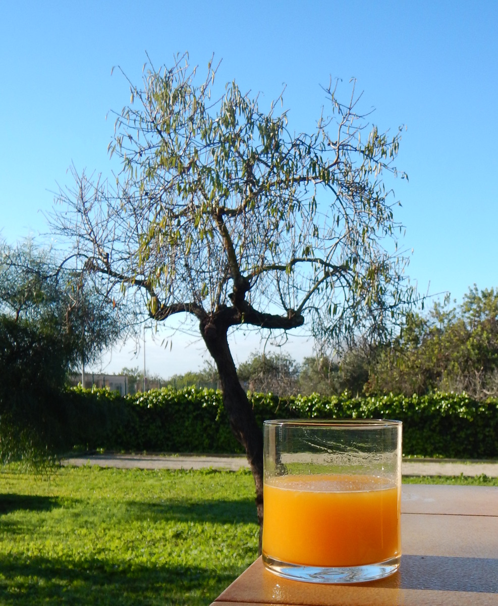 O Saft1