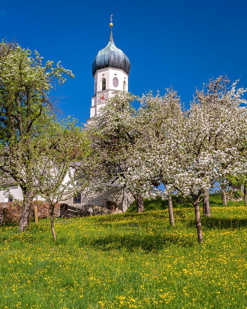 Obstbaumblüte in Gaissach