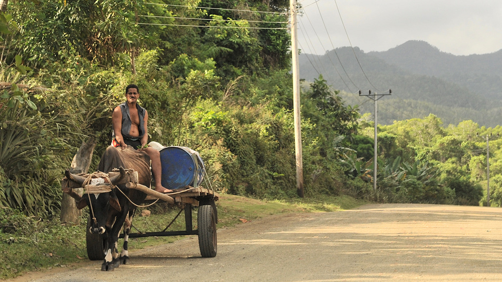 Ochsenkarren bei Baracoa
0619