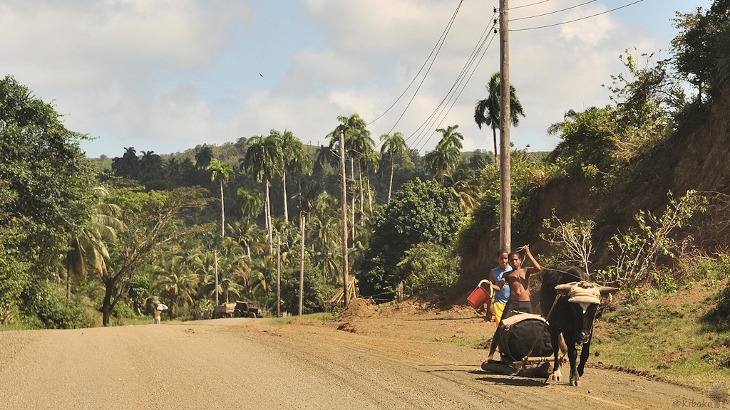Ochsenschlitten bei Baracoa
0687a