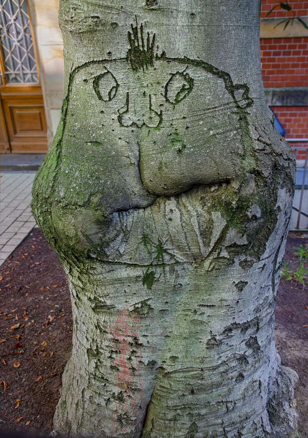 OF-26300.jpg