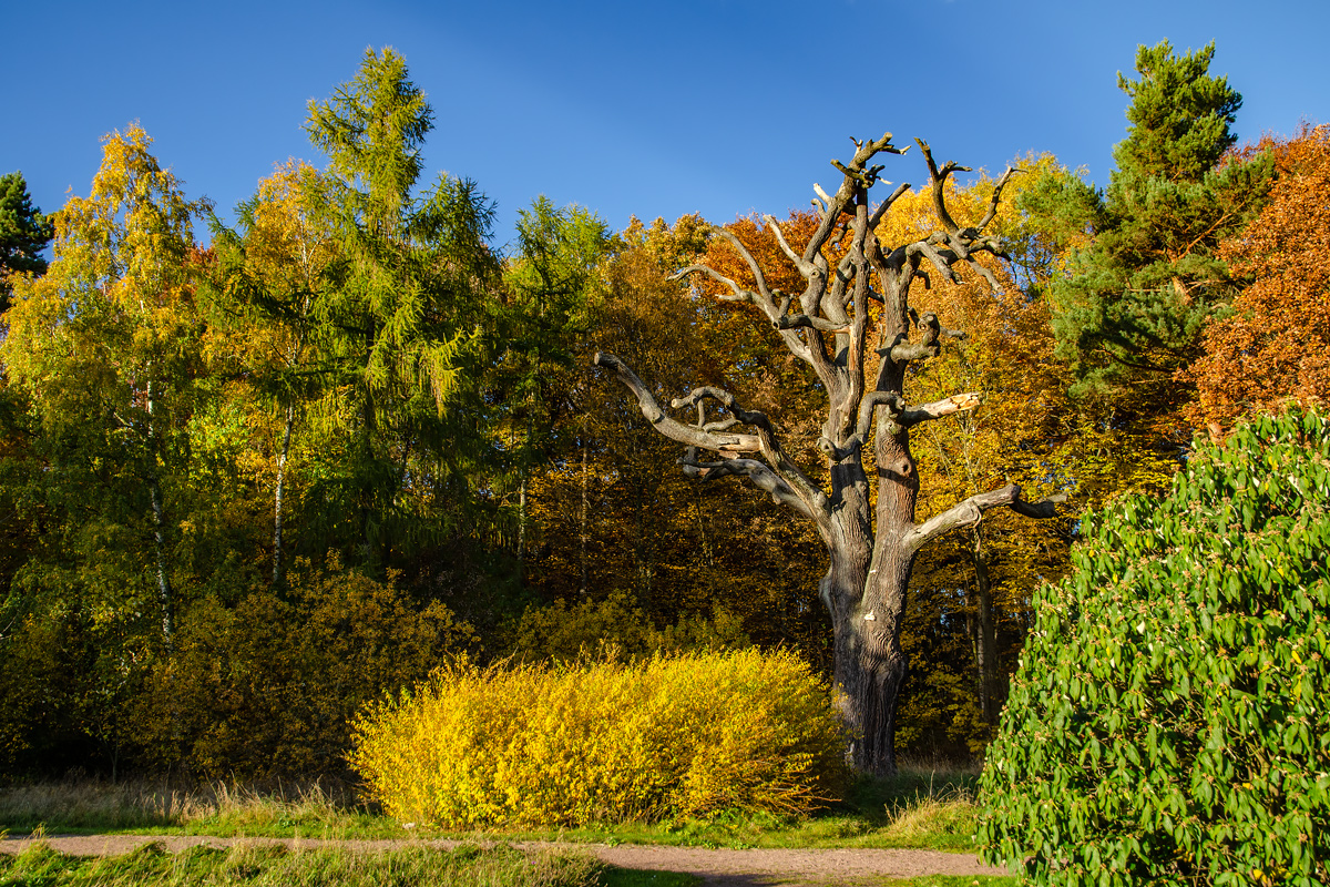 OF-49084.jpg