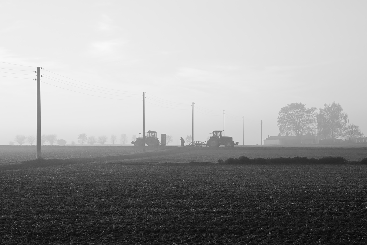OF-49353sw.jpg