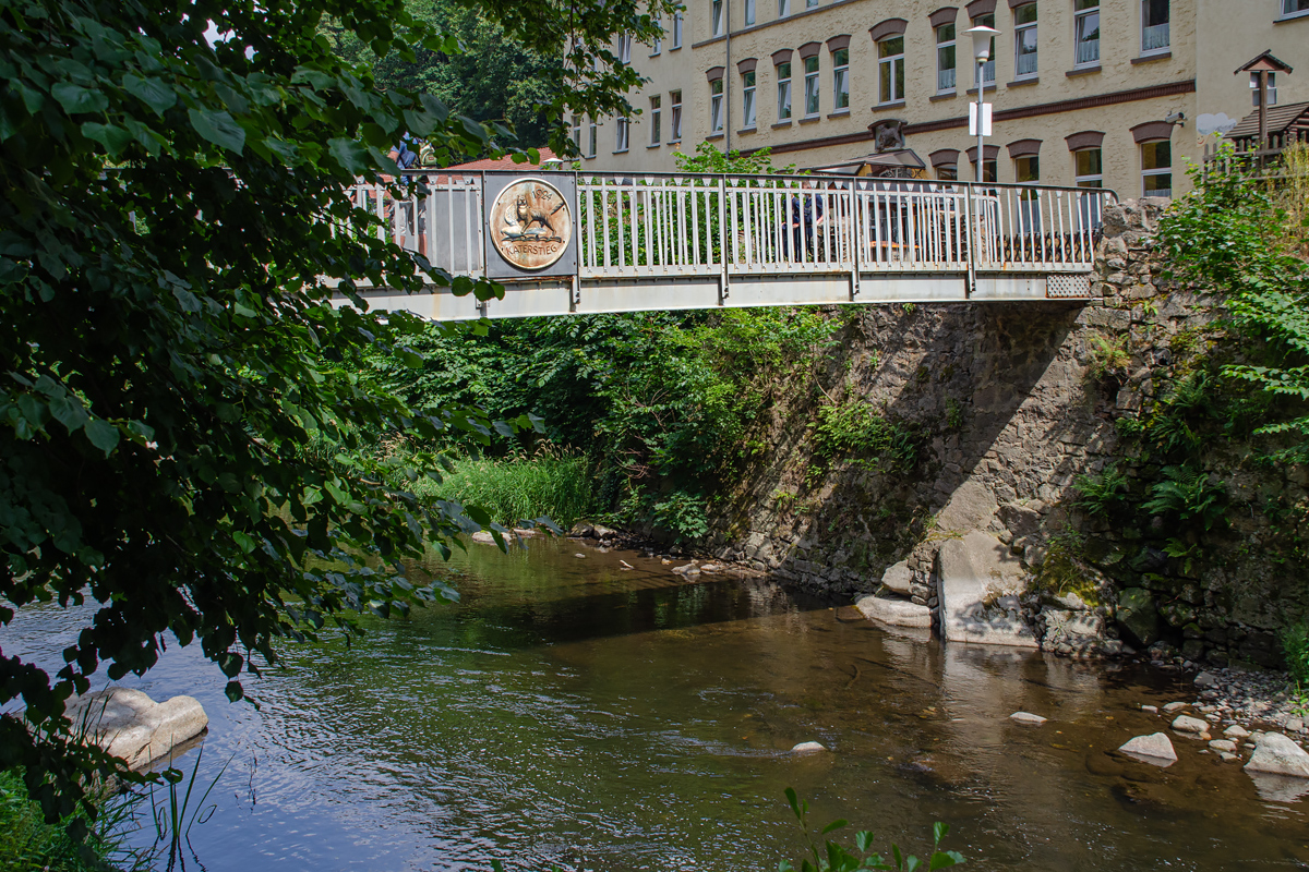 OF-59014.jpg