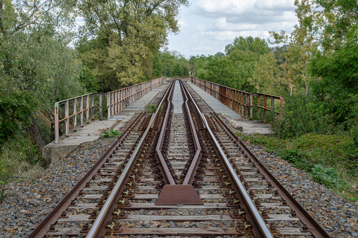 OF-59439.jpg