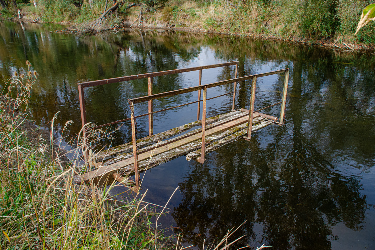 OF-59467.jpg