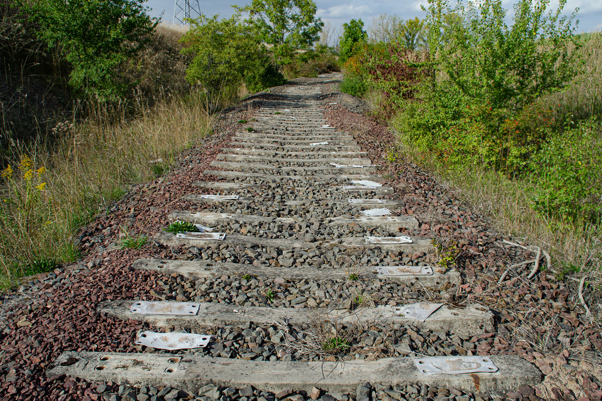 OF-59557.jpg