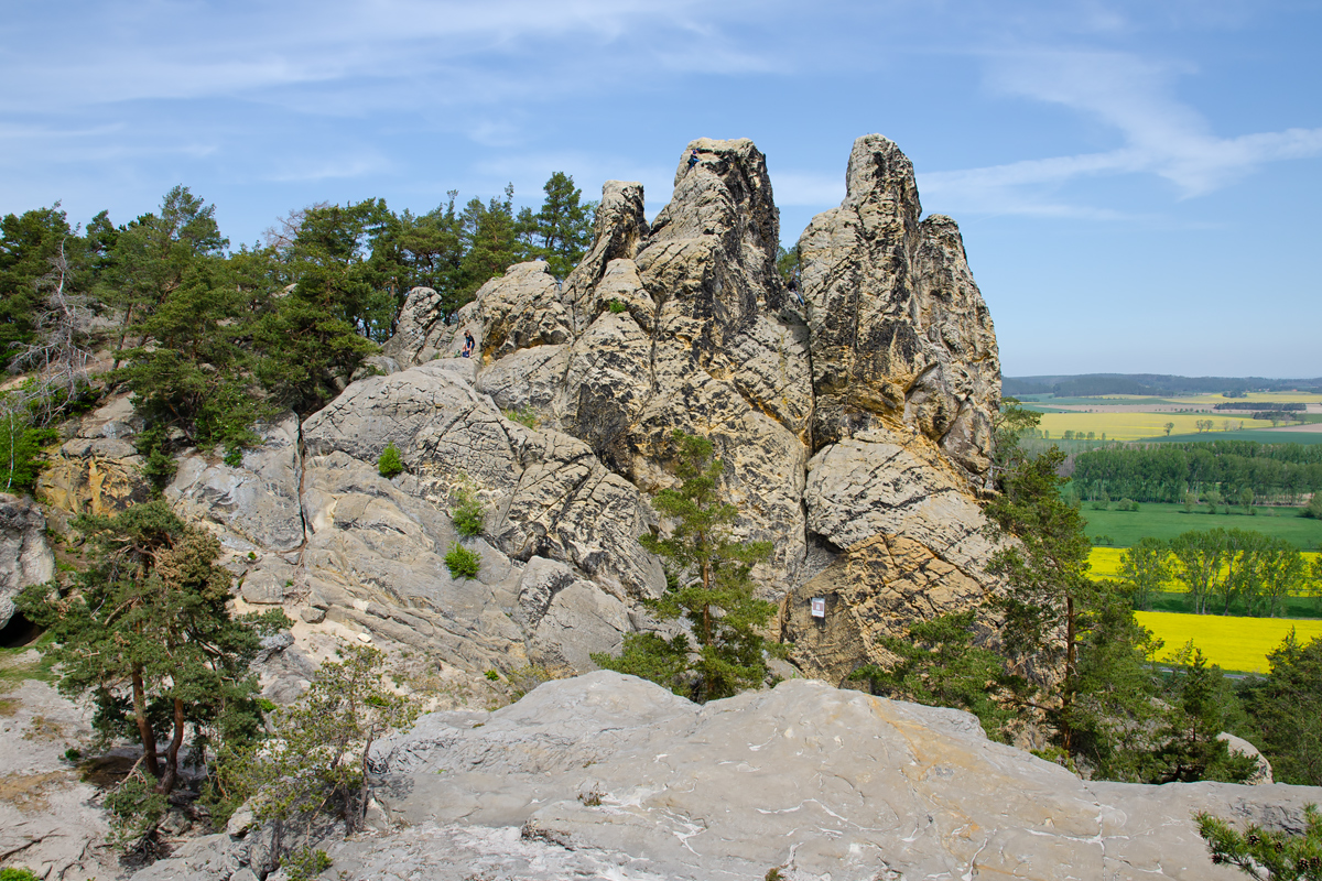 OF-59651.jpg