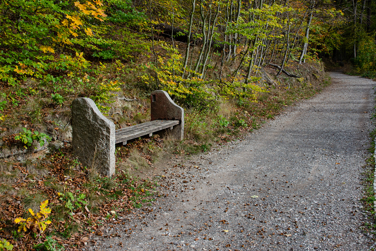 OF-60347.jpg