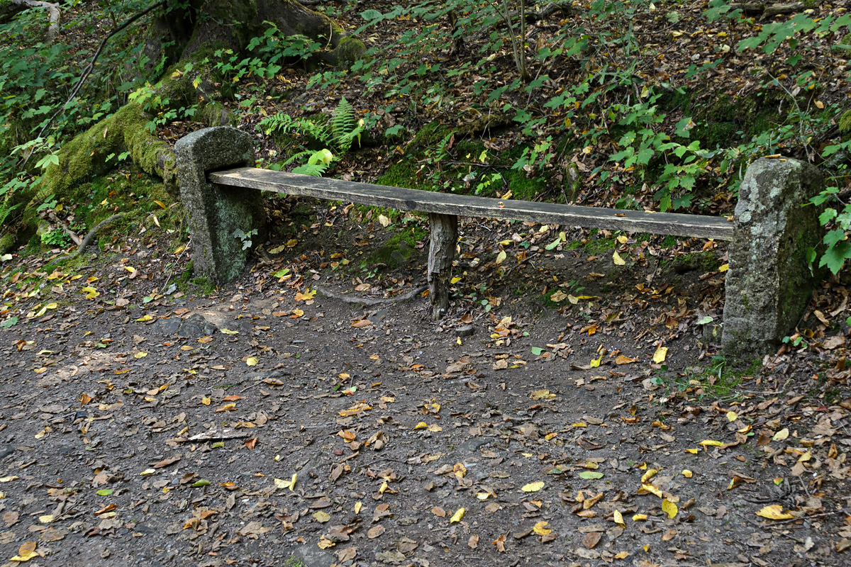 OF-60887.jpg