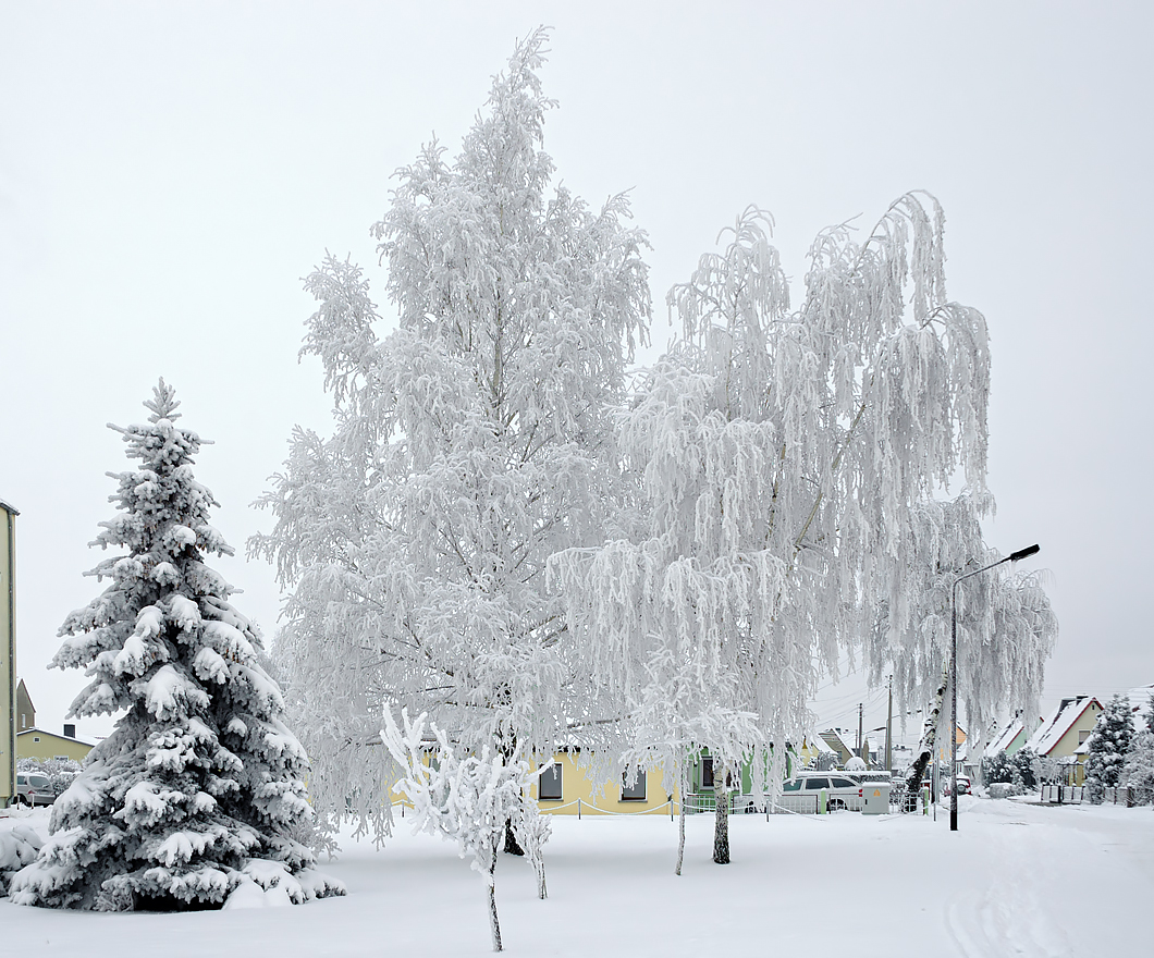 OF-DSC_1221.jpg