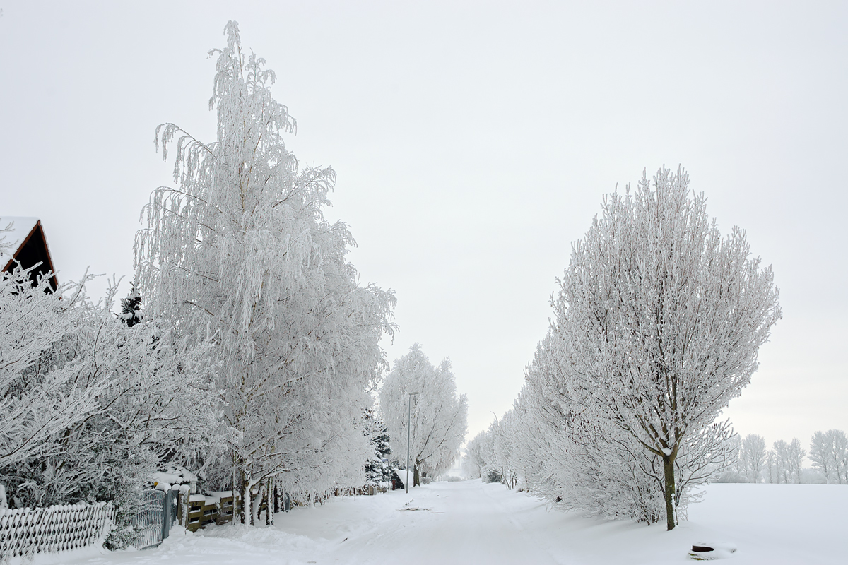OF-DSC_1245.jpg