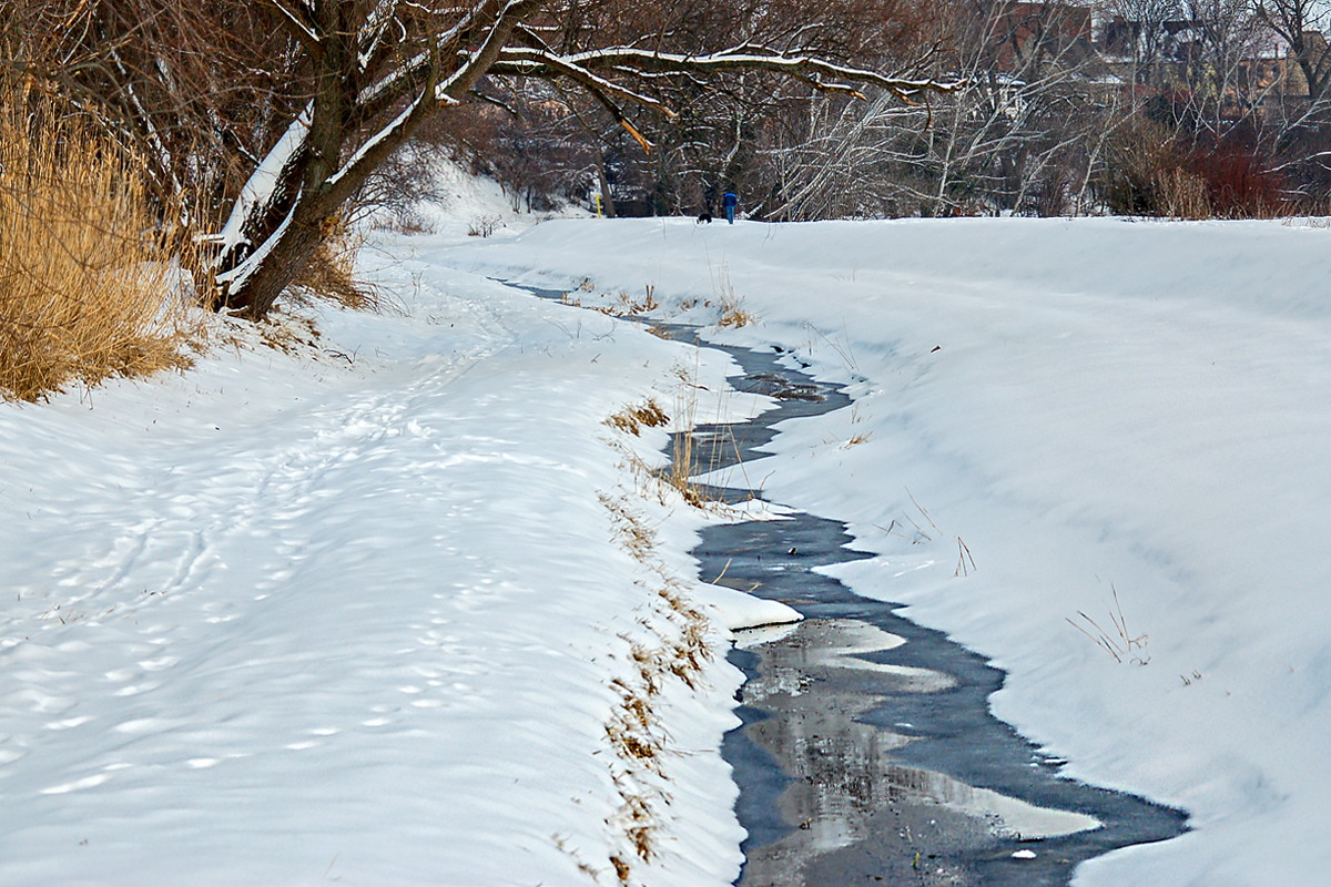 OF-DSC_1867.jpg