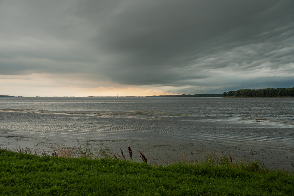 OF-DSC_6594.jpg