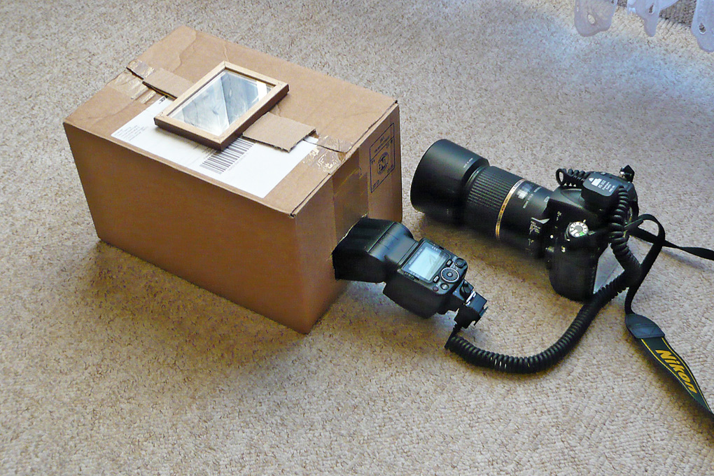 OF-P1040593.jpg
